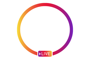 清泉小学校インスタライブ説明会